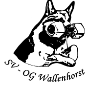(c) Sv-wallenhorst.de